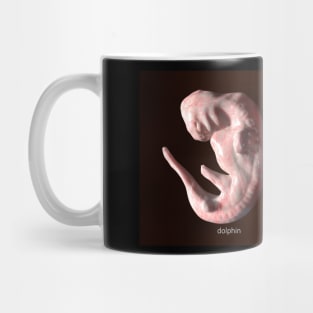 Embryos Mug